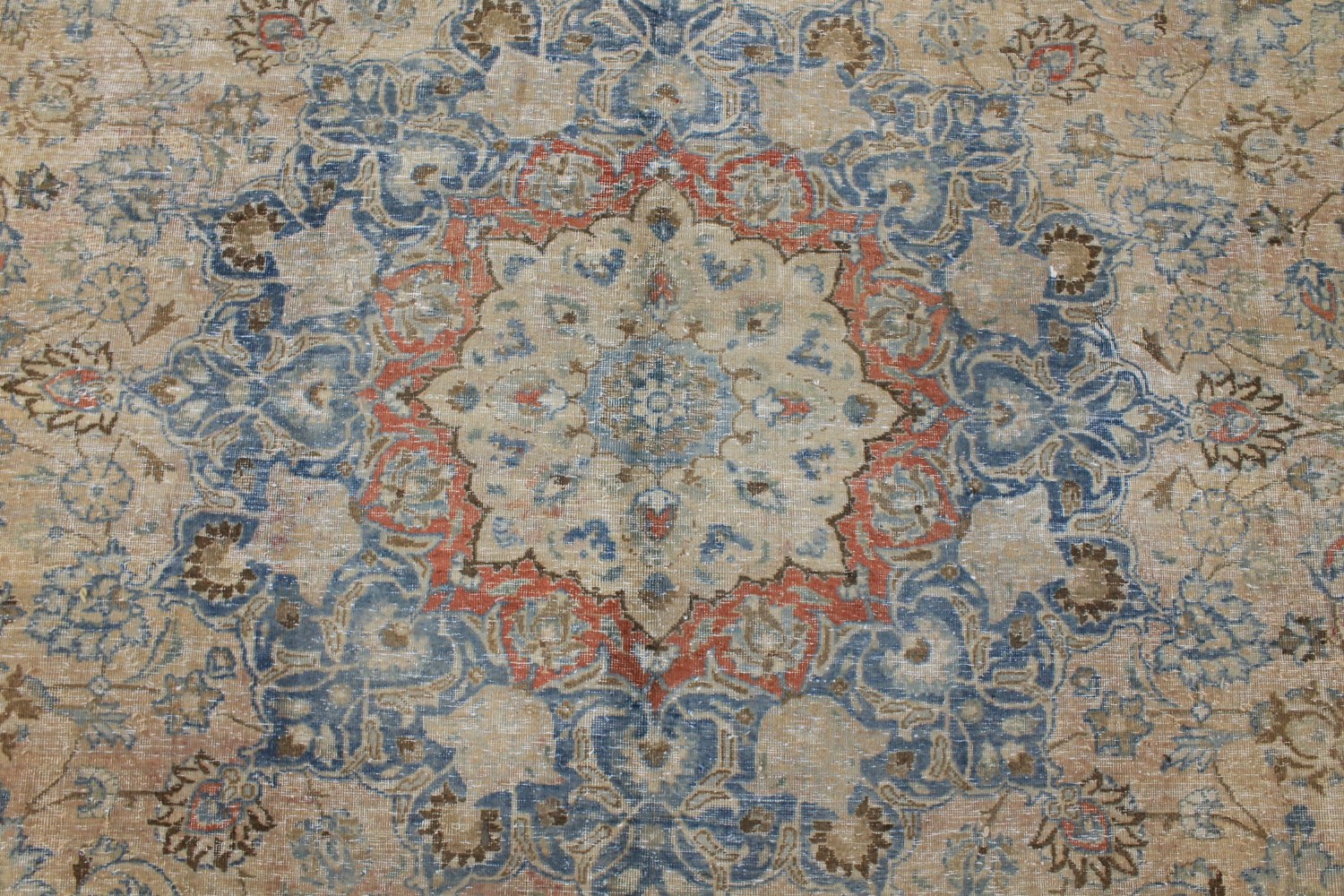 9x12 Aryana & Antique Revivals Hand Knotted Wool Area Rug - MR028282