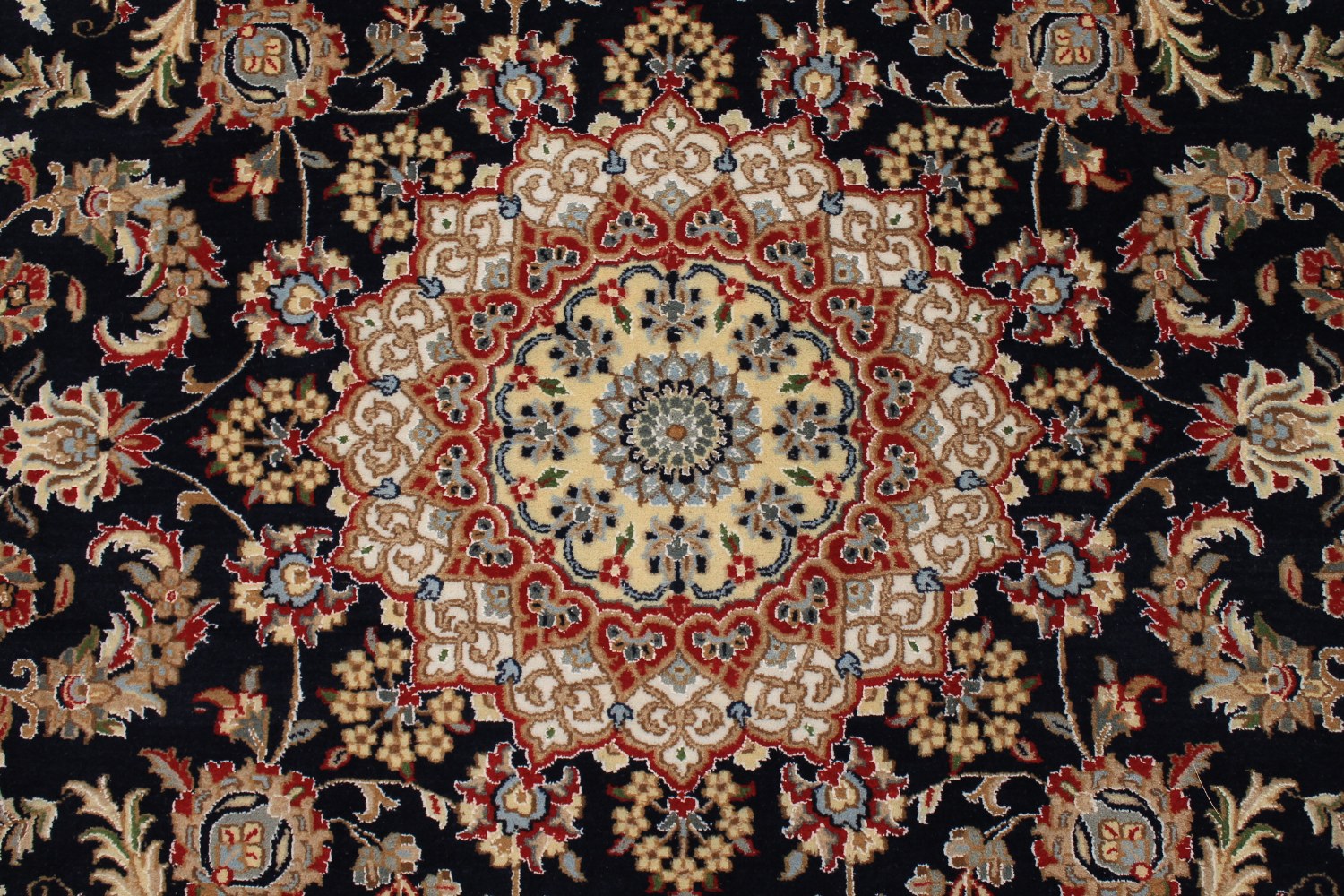 6x9 Traditional Hand Knotted Wool Area Rug - MR028297