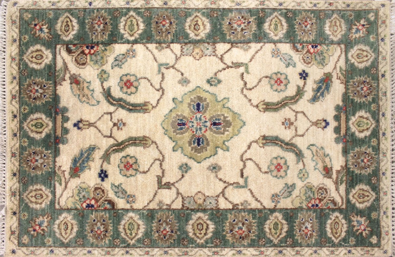 2X3 Traditional Hand Knotted Wool Area Rug - MR030014
