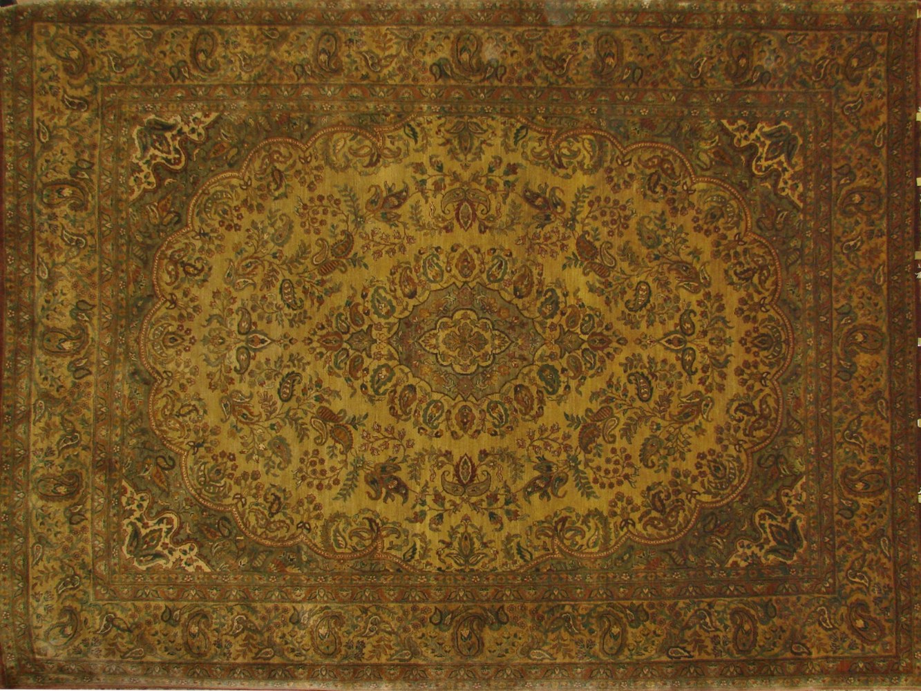 9x12 Jaipur Hand Knotted Wool Area Rug - MR0371