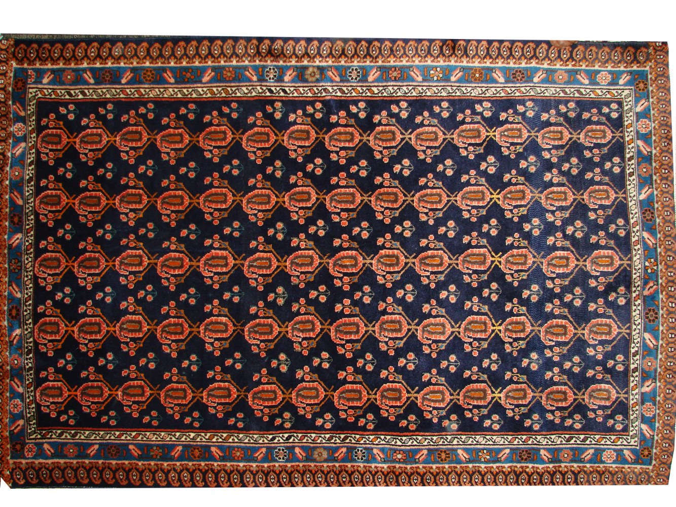 5x7/8 Traditional Hand Knotted Wool Area Rug - MR0580