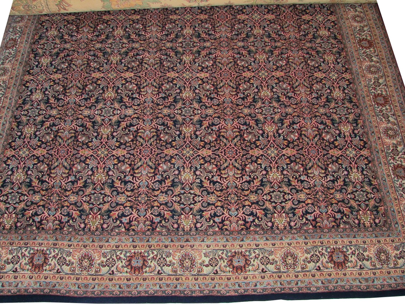 8x10 Traditional Hand Knotted Wool Area Rug - MR0981