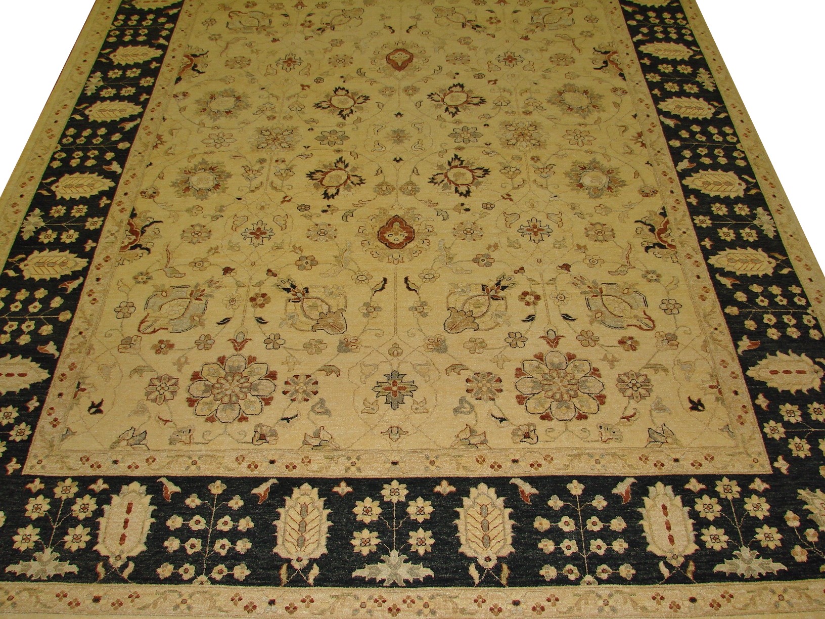 9x12 Traditional Hand Knotted Wool Area Rug - MR11213